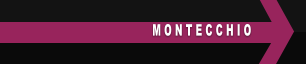 M O N T E C C H I O