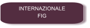INTERNAZIONALE FIG